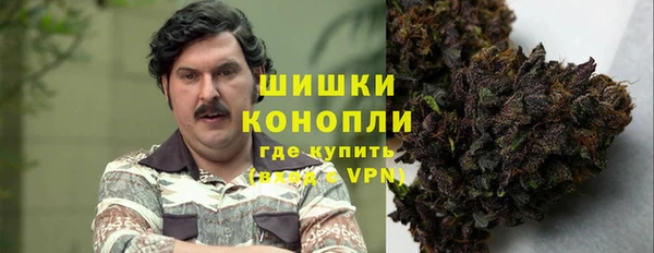 стаф Богородск