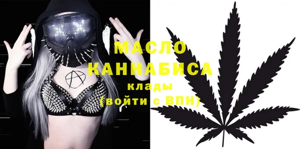 стаф Богородск