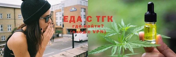 стаф Богородск