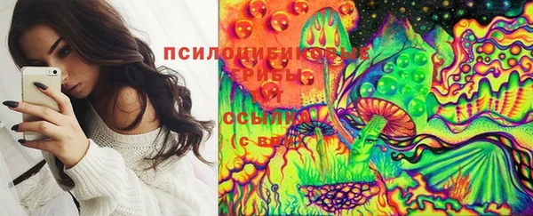 кокаин перу Богданович
