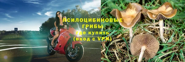 стаф Богородск