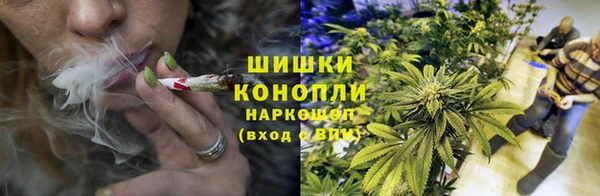 стаф Богородск